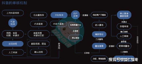 国仁网络资讯 抖音算法机制是什么 抖音运营怎么精准定位 视频 