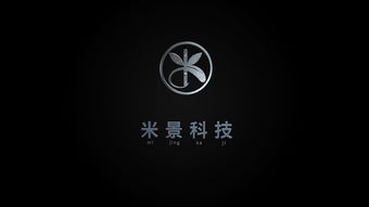 一则LOGO片头视频