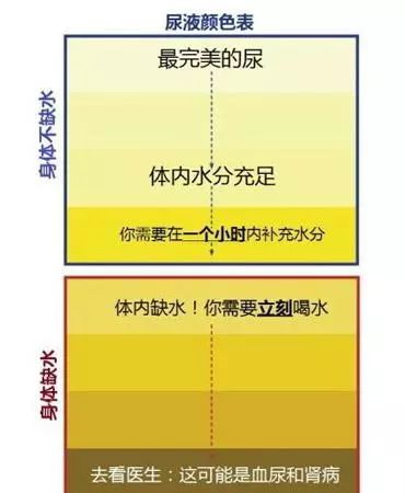 表情 身体一天流失2500毫升水夏天应该怎样科学地喝水 饮水量 表情 