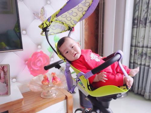 酷骑遛娃神器 提升宝宝安全感
