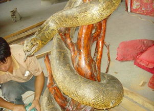 这座明代古庙竟供奉着一条千年大蟒蛇