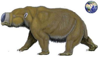 新动物世界 四万年前澳洲有种像河马一样的巨型袋鼠,差点吃光澳洲大陆