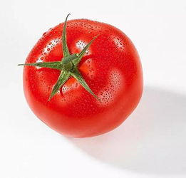 怎么判断西红柿有没有用过激素 