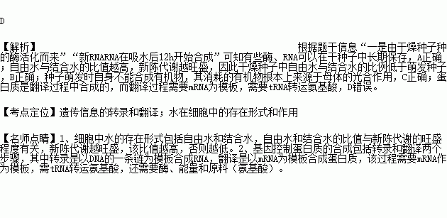 萌发种子中的酶有两个来源.一是由干燥种子中的酶活化而来.二是萌发时重新合成.研究发现种子萌发时.新的RNA在吸水后12h开始合成.而蛋白质合成在种子吸水后15 20min便可开始 