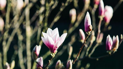 下周内,秋雨如桃花,月老送姻缘,牵手良人余生幸福的4大星座