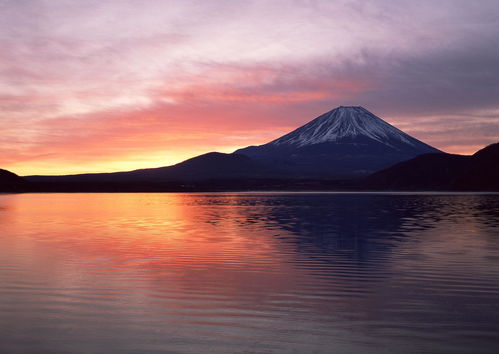 “去日本旅行”和“独自生活”用日语怎么说？