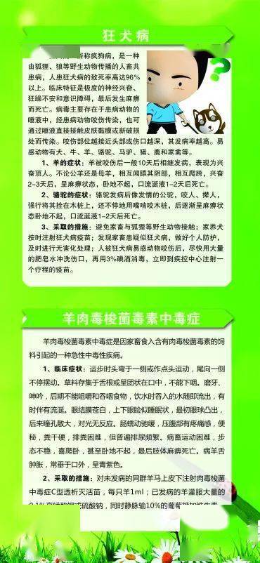 阿左旗常见多发动物疫病防控知识