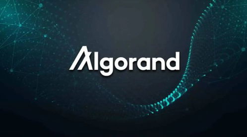 algorand币,爱斯基摩币与人民币的汇率？？？