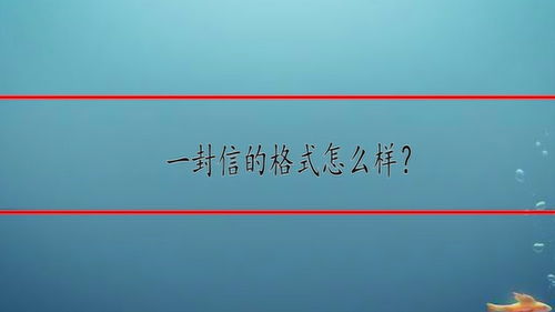 信的格式(书信体格式是什么)