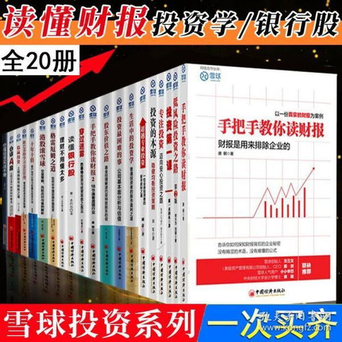 股票分析技巧全集书籍,股票分析技巧全集:制定成功的投资策略