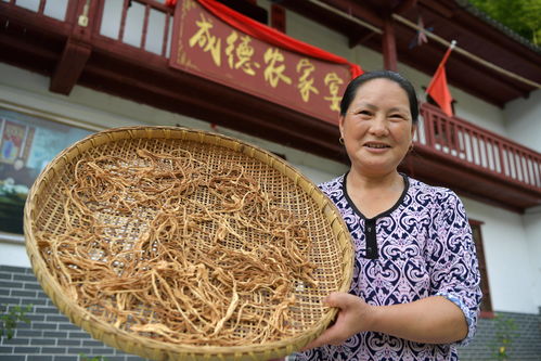 江西老表生活小常识(江西老表的由来及意思)