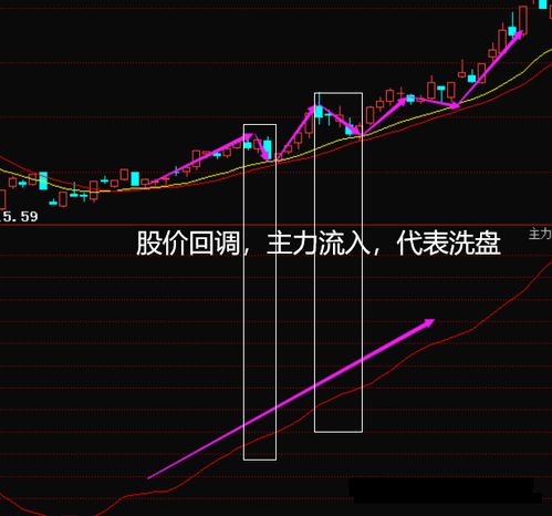 炒股与炒菜的区别是什么「炒股与炒菜的区别」