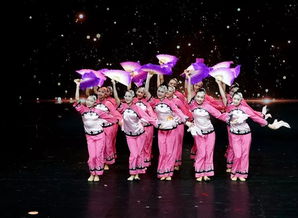 湖南的舞蹈学校,想知道：湖南省 最好的长沙舞蹈艺术学校 在哪？