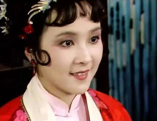 润芳 薛宝琴是 红楼梦 里唯一出国游历过的姑娘