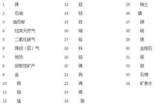 矿产资源管理细则