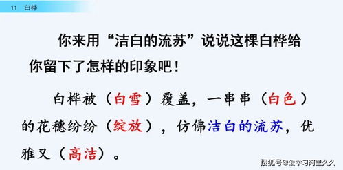 曝晒的意思解释词语,晒太阳的晒的成语？