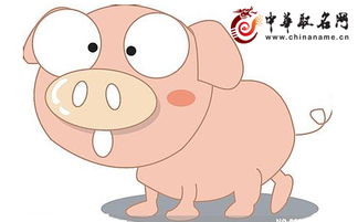 猪产品公司起名字 四川最大养猪场排名？