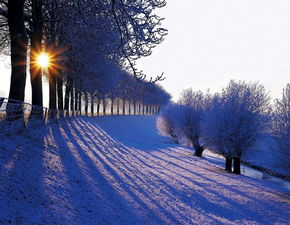 唯美雪景图片素材 冬日里唯美的雪景