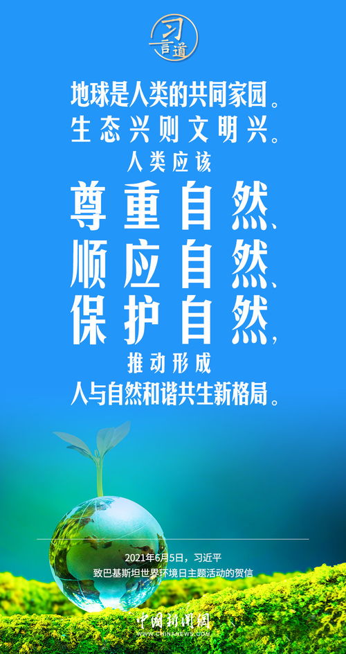 挖对地方才是生存之道、努力才是生存之道是谁说的