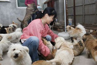青岛哪里有宠物救助站或者可以领养猫狗的地方 急急急 
