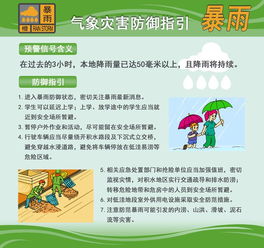 应对暴雨天气应急预案精选