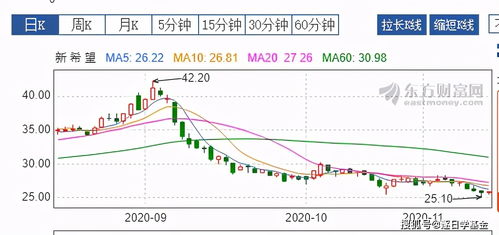 基金和股票涨跌情况分析, 基金和股票涨跌情况分析