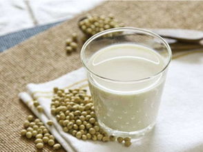 豆浆可不可以代替牛奶(牛奶vs豆浆，哪个营养更好？不同人群对号入座)