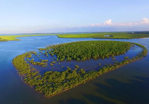 湿地公约将湿地分为哪三类，湿地面积最少为多少