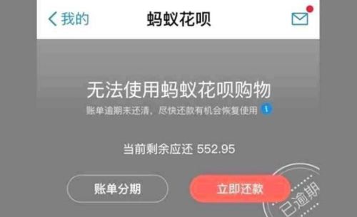 查重未公布？原因与解决方案全解析