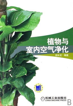 花卉植物与室内空气净化,植物与室内空气净化