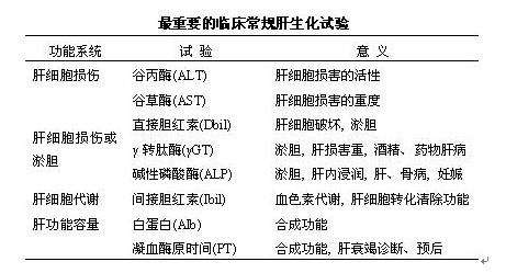 乙肝病毒载量1.80,什么是乙肝病毒载量？