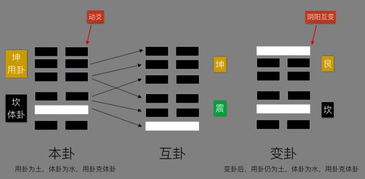 梅花易数的体用生克