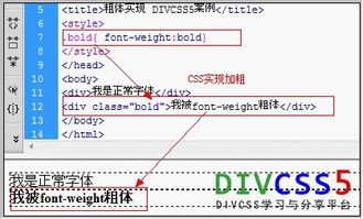 css加粗字体,css加粗字体代码