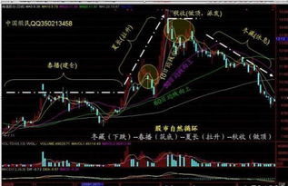 中国股市年内会涨到多少点？