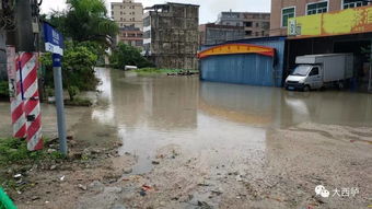 西胪大暴雨后多地成浸水街,河道几乎淹至地面 