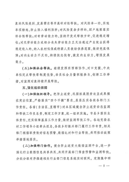 中央农村工作领导小组关于健全防止返贫动态监测和帮扶机制的指导意见