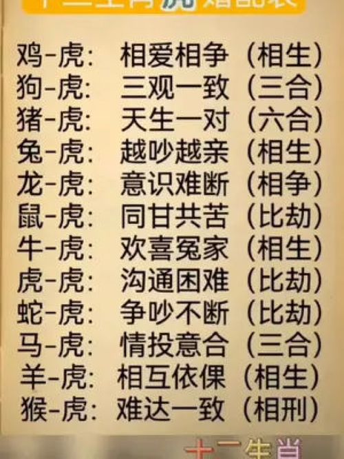 十二生肖 句子很短却字字入心 很现实的人生感悟 虎 