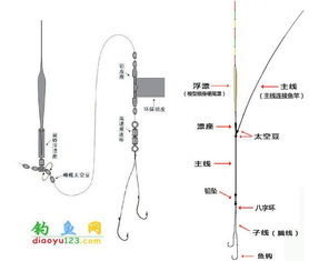 钓鲫鱼如何选配鱼线的一些技巧