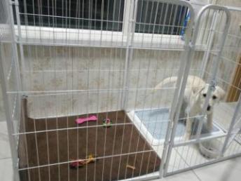 图 2019狗笼子围栏宠物护栏隔离栏包邮 重庆宠物食品 用品 