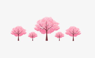 日本樱花树图片高清,日本的樱花是什么样?