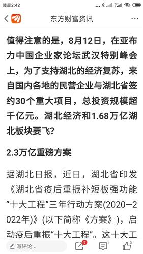 关于富邦公司的建议,深化国际化战略，构建现代农业生态