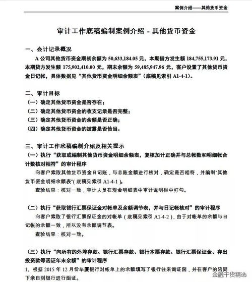 审计必备 全套审计培训资料 案例 工作底稿