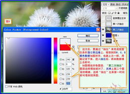 文章 ps运用抽出和通道抠图 