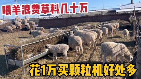 牧区喂羊浪费草料几十万 花1万购买颗粒机,混合食材均衡营养