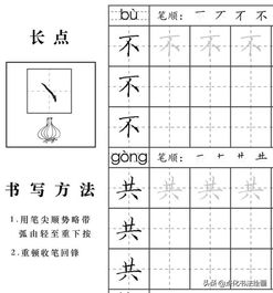 硬笔书法入门知识基本笔顺之点提折钩 起笔 