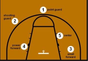 NBA中五个位置的划分依据是什么, 各有什么作用 