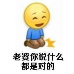 向老婆认错表情包集锦 搜狐文化 搜狐网 