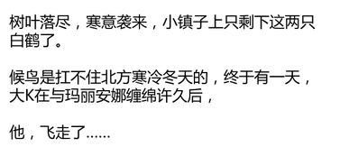 异地恋16年,每年跨越13000公里相见,生完孩子后离开 却吸引了全世界的关注 