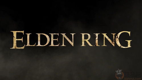 elden ring 4 player co op,Understanding Elden Ring’s 4 Player Co-op