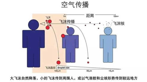 威力传动：为精密传动领域注入新活力